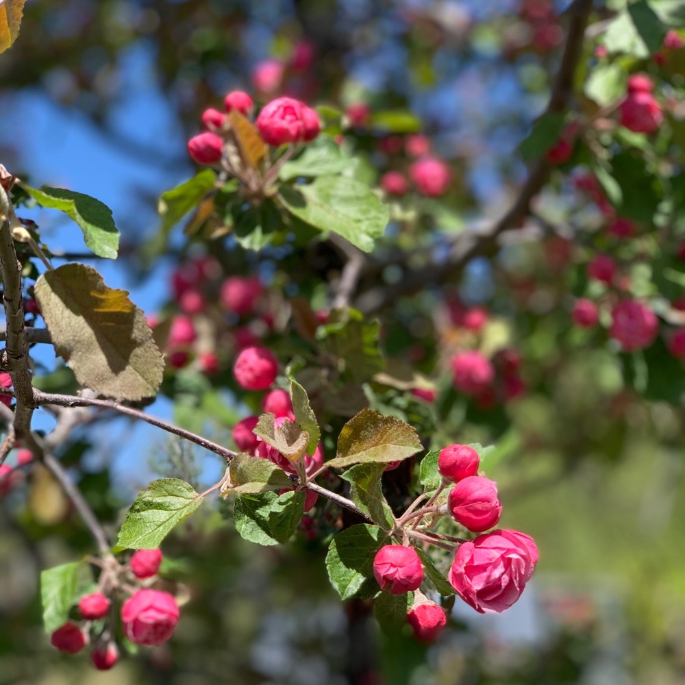 Meet your Posher, Chloe